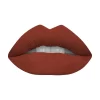 Swiss Miss Terracotta Lipstick-matte-208