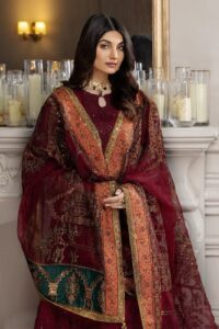 Premium quality Luxury Embroidered Chiffon Suit