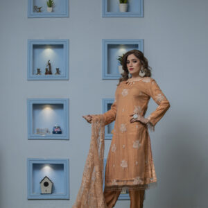 Premium quality 3 Piece Stitched Embroidered Net Suit